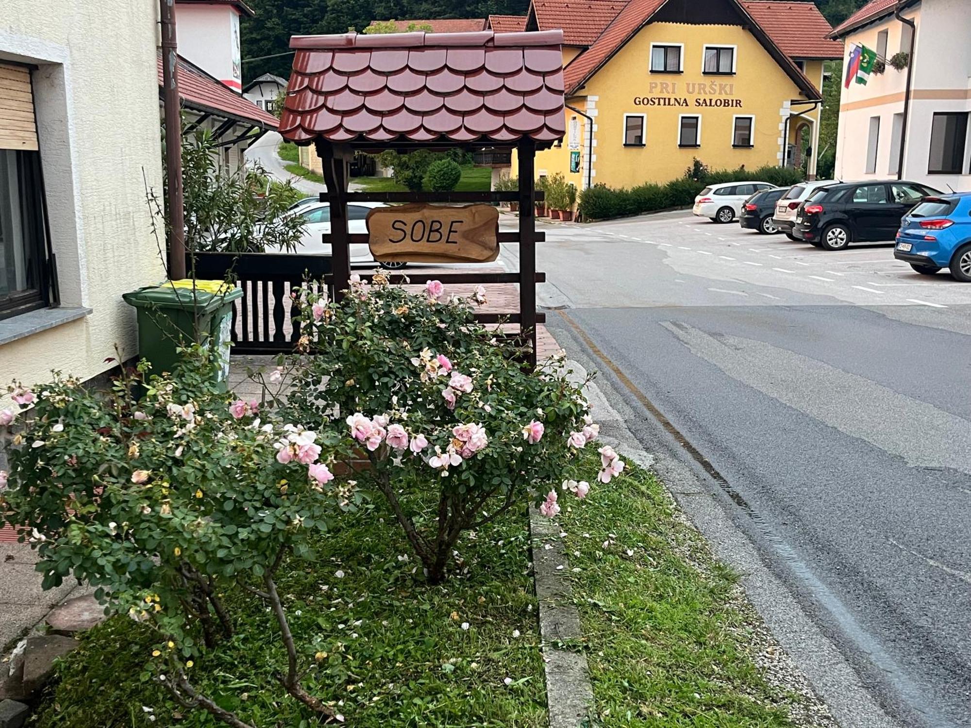 Dobje pri PlaniniKarla'S House住宿加早餐旅馆 外观 照片